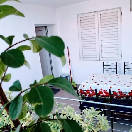 Apartamento With One In Zadar, With Enclosed Garden And Wifi - 1 Km From T... Zadar