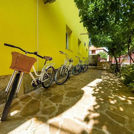 With One In Zadar, With Enclosed Garden And Wifi - 1 Km From T... 公寓